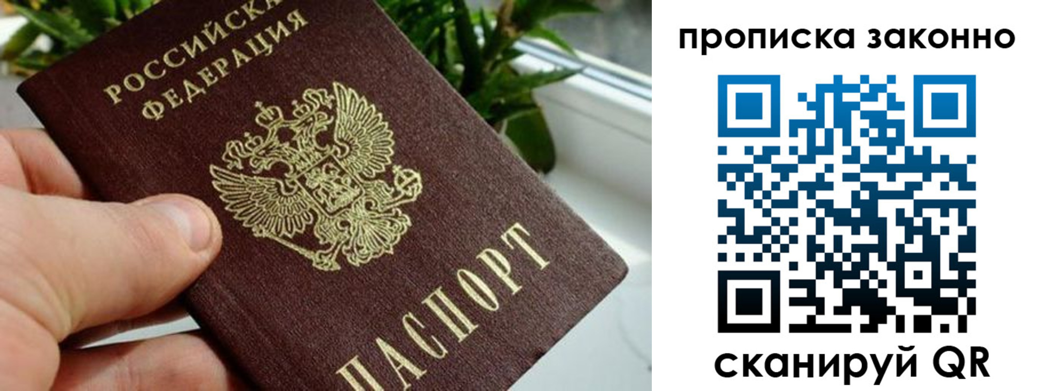 прописка гарантия в Назрани